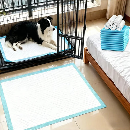 Border collie lying on a puppy pad in an open wire crate, a second pad on the floor, more pads on a bed