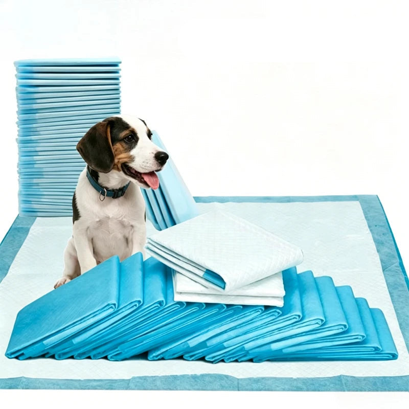 Beagle puppy sitting beside stacks of blue and white puppy pads, folded and unfolded pads in the foreground