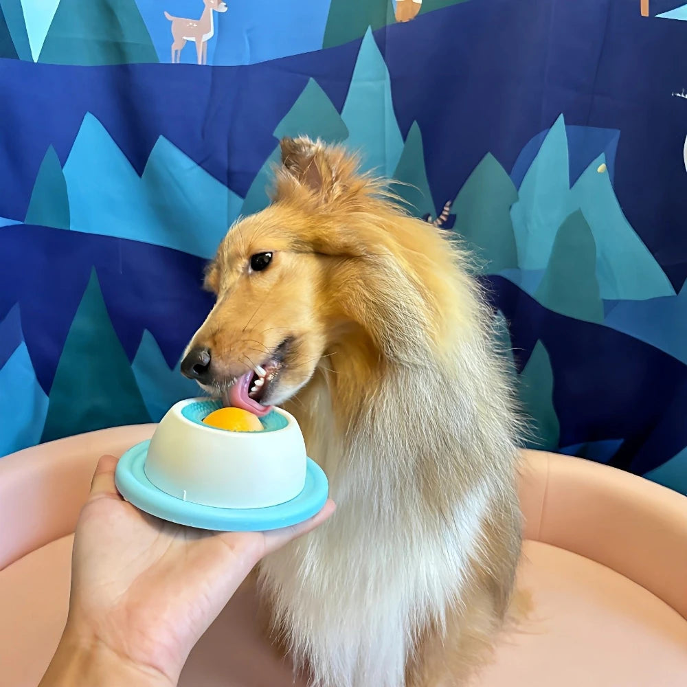 Rough collie licking the yellow ball in the white treat bowl held in a hand, forest-print backdrop